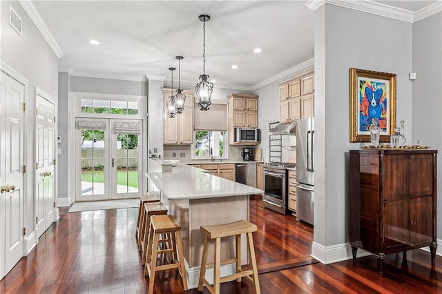 kitchen with a healthy amount of sunlight, dark hardwood / wood-style flooring, a kitchen bar, and stainless steel appliances