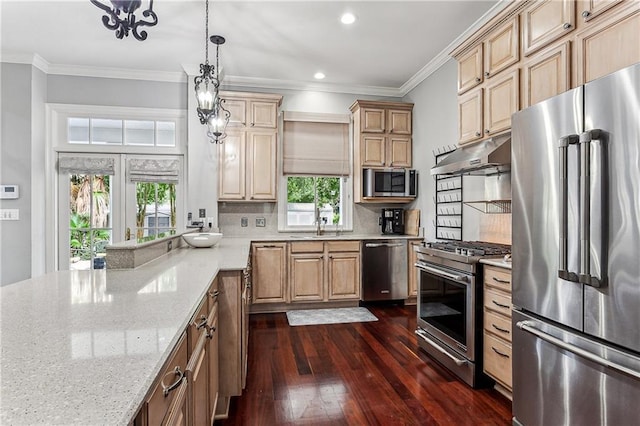 kitchen featuring pendant lighting, a wealth of natural light, dark hardwood / wood-style flooring, and stainless steel appliances