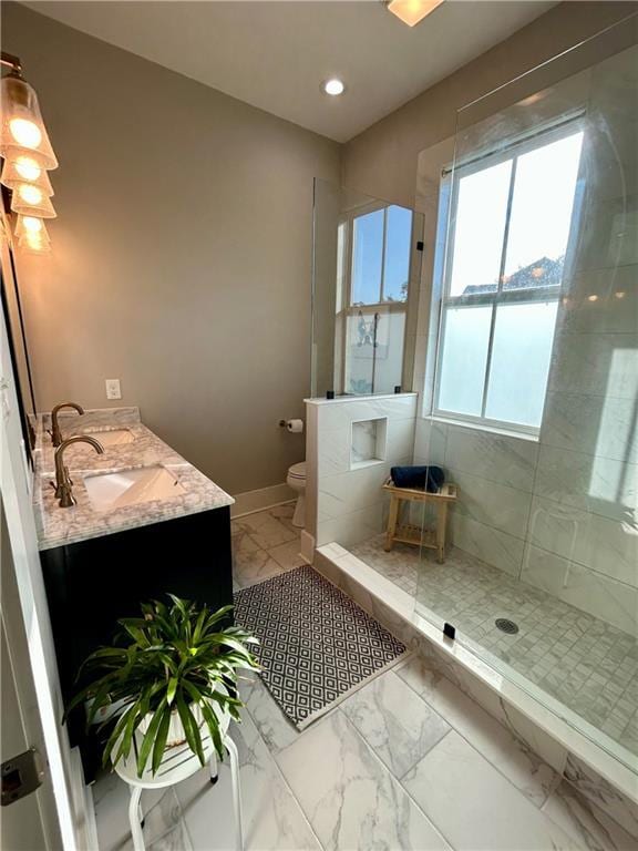 bathroom with a shower, vanity, and toilet