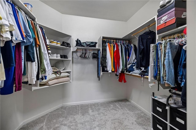 spacious closet with carpet flooring