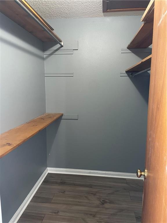 walk in closet featuring dark hardwood / wood-style flooring