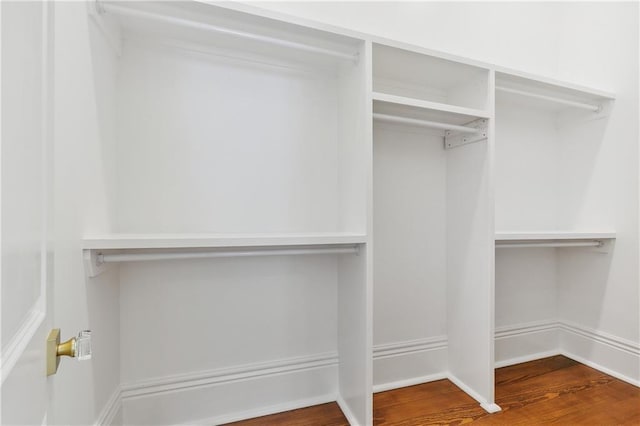 walk in closet with wood-type flooring