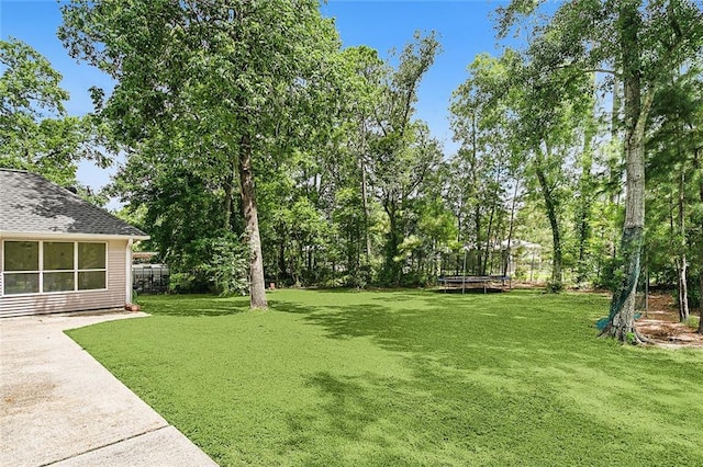 view of yard with a patio and a trampoline