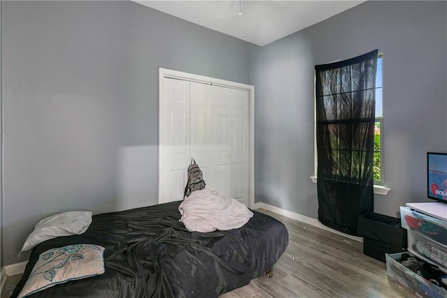 bedroom with wood-type flooring and a closet