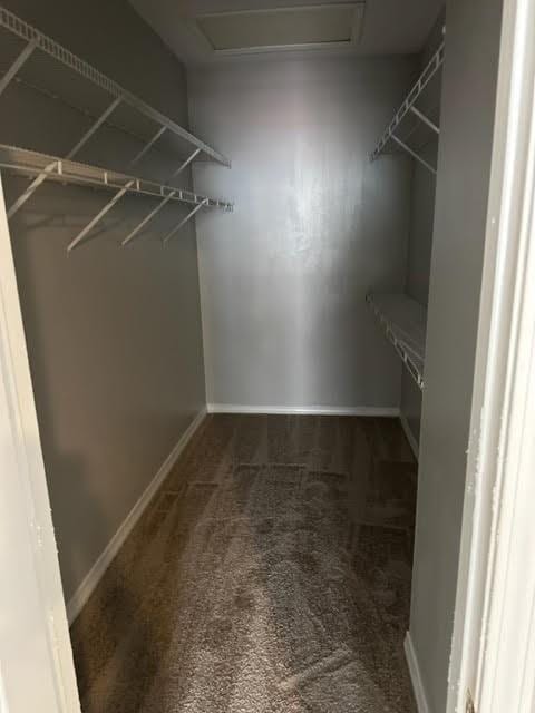 walk in closet featuring dark colored carpet