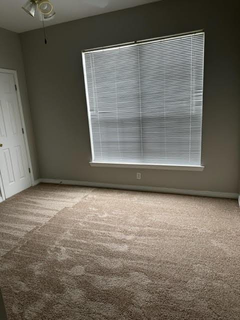 carpeted spare room with ceiling fan