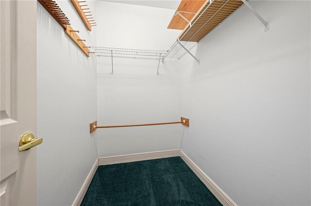 41298 Baytown Rd, Hammond, LA 70403 - spacious closet with carpet