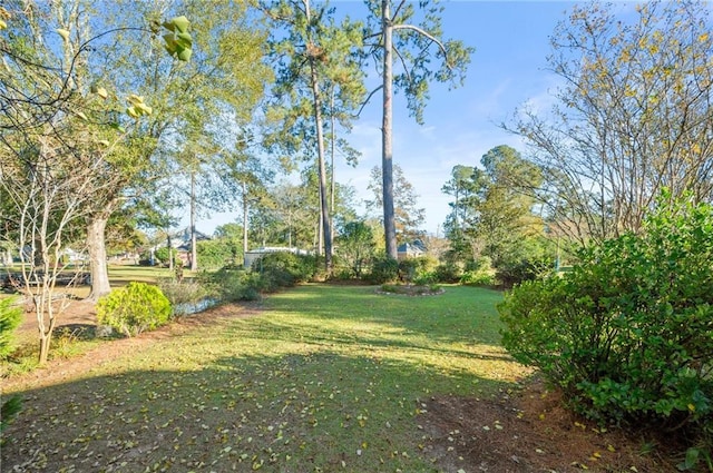 41298 Baytown Rd, Hammond, LA 70403 - view of green lawn