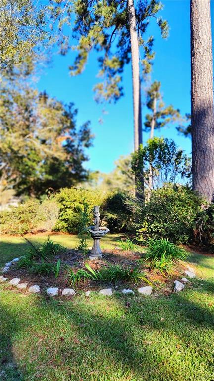 41298 Baytown Rd, Hammond, LA 70403 - view of green lawn