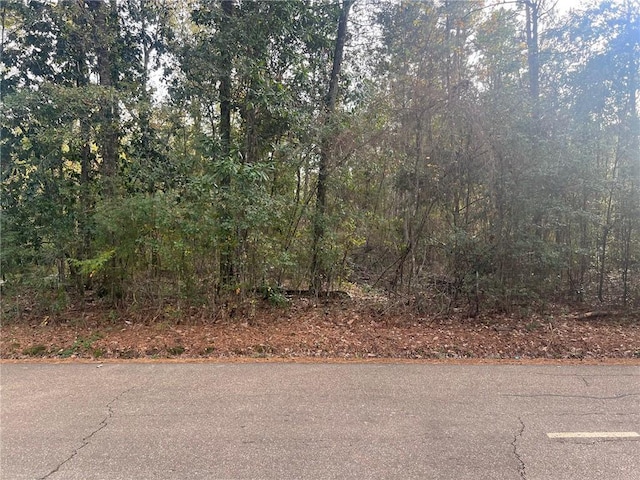 Verneuil Ln, Ponchatoula LA, 70454 land for sale