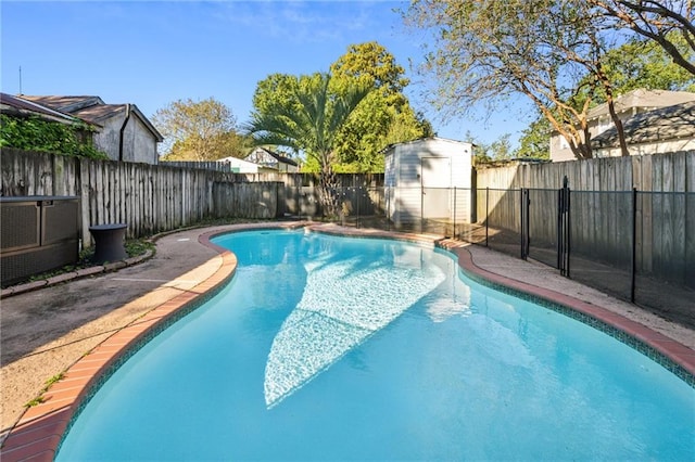 view of pool featuring a shed