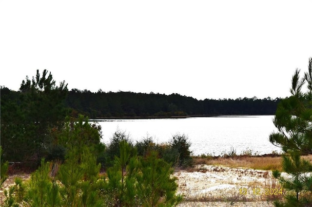 Listing photo 2 for LOT75 Shore Dr, Franklinton LA 70438