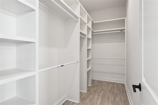 walk in closet with wood-type flooring