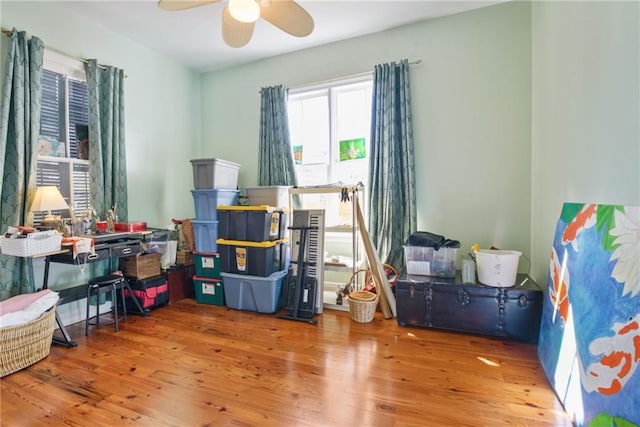 storage area with ceiling fan