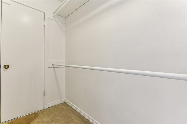 spacious closet featuring carpet flooring