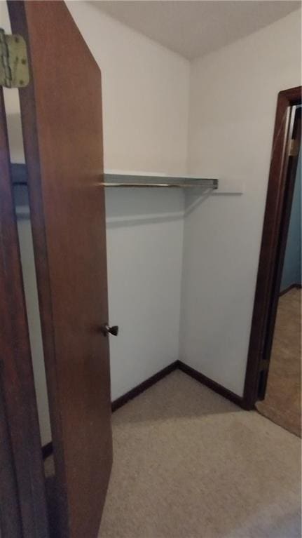 walk in closet with light colored carpet