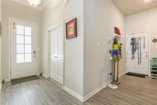 entrance foyer featuring hardwood / wood-style floors