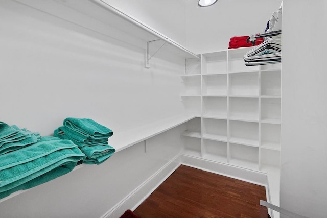 walk in closet featuring wood-type flooring