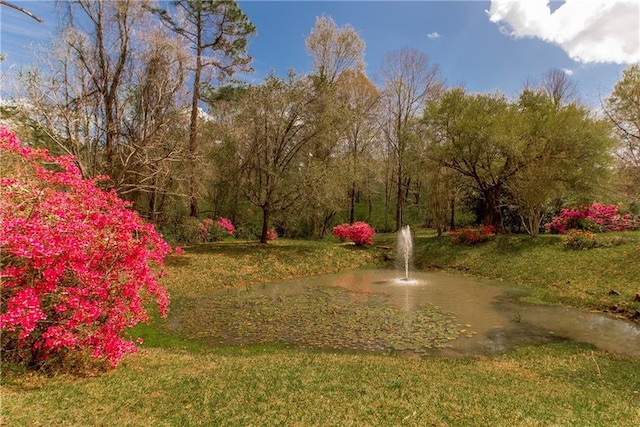 15070 Bruhl Rd, Folsom, LA 70437 - surrounding community with a yard