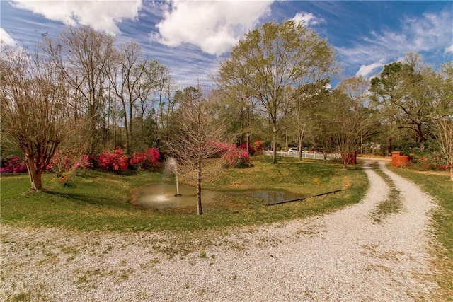 15070 Bruhl Rd, Folsom, LA 70437 - view of home's community featuring a lawn and driveway