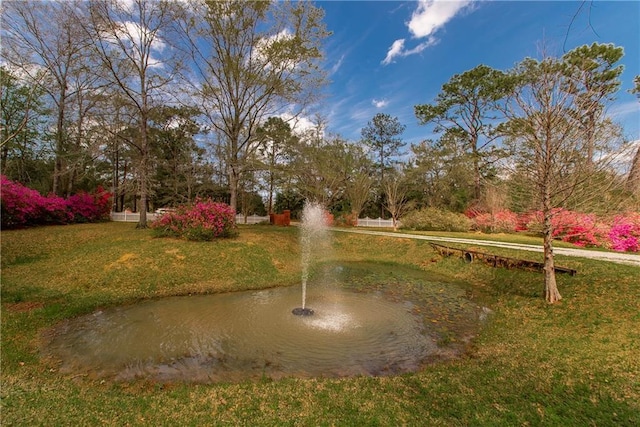 15070 Bruhl Rd, Folsom, LA 70437 - view of community featuring a lawn