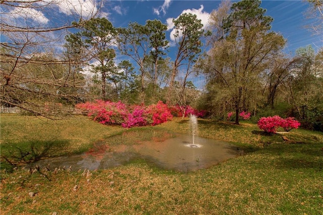 15070 Bruhl Rd, Folsom, LA 70437 - view of home's community with a yard