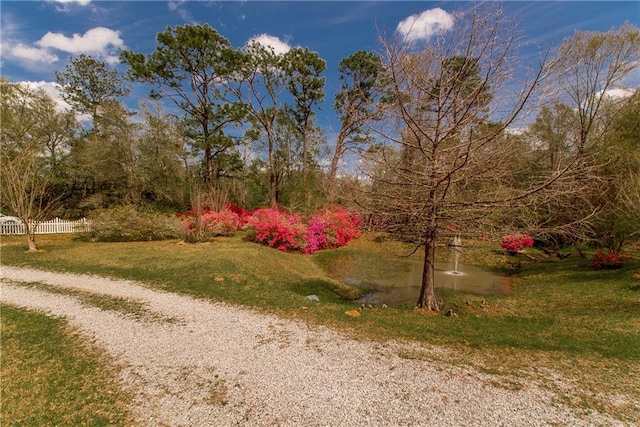 15070 Bruhl Rd, Folsom, LA 70437 - view of property's community featuring a lawn and fence