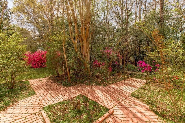 15070 Bruhl Rd, Folsom, LA 70437 - view of yard featuring a patio
