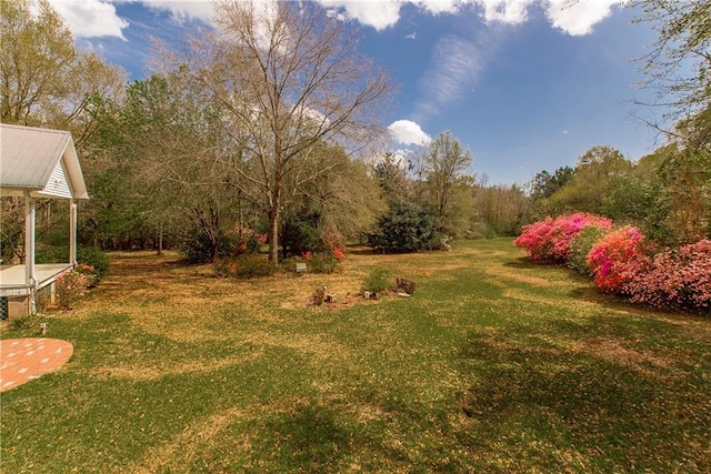 15070 Bruhl Rd, Folsom, LA 70437 - view of yard