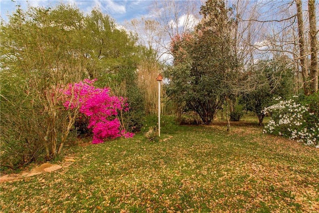 15070 Bruhl Rd, Folsom, LA 70437 - view of yard