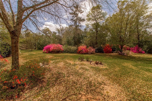 15070 Bruhl Rd, Folsom, LA 70437 - view of yard