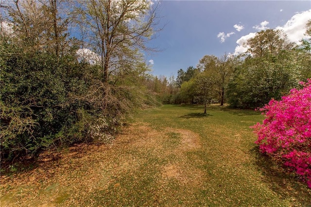 15070 Bruhl Rd, Folsom, LA 70437 - exterior space