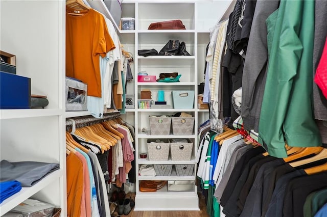 walk in closet featuring wood-type flooring