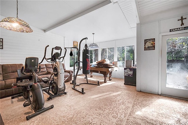 workout area with lofted ceiling