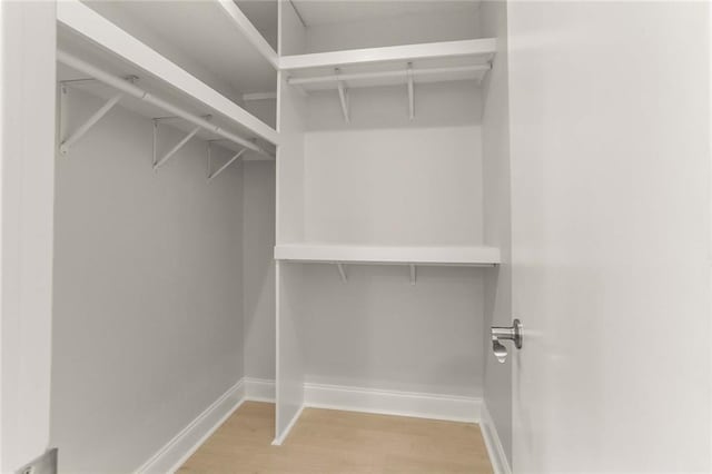 spacious closet featuring light wood-type flooring