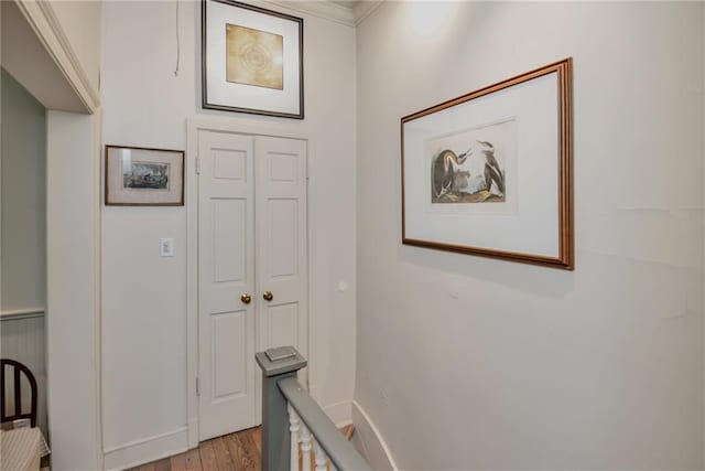 corridor featuring crown molding and light hardwood / wood-style flooring