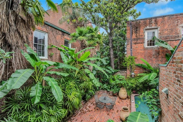 view of yard with a patio