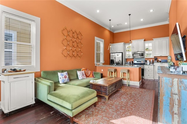 living room featuring crown molding and dark hardwood / wood-style floors