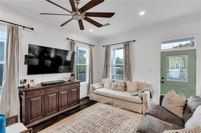 living room featuring ornamental molding, ceiling fan, and dark wood-type flooring