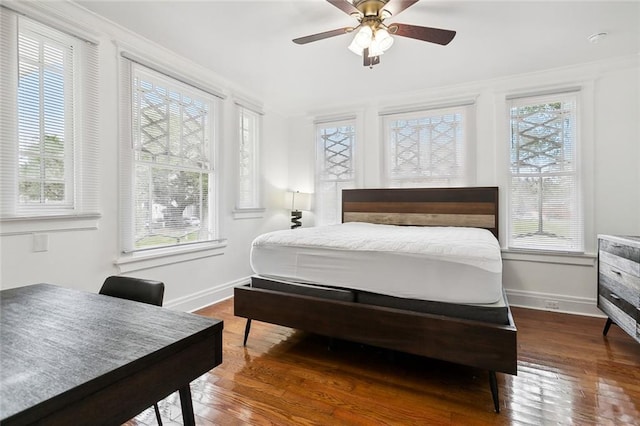 bedroom featuring dark hardwood / wood-style floors, ceiling fan, and multiple windows