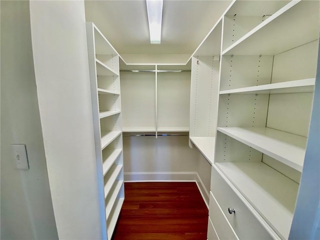 spacious closet featuring wood finished floors