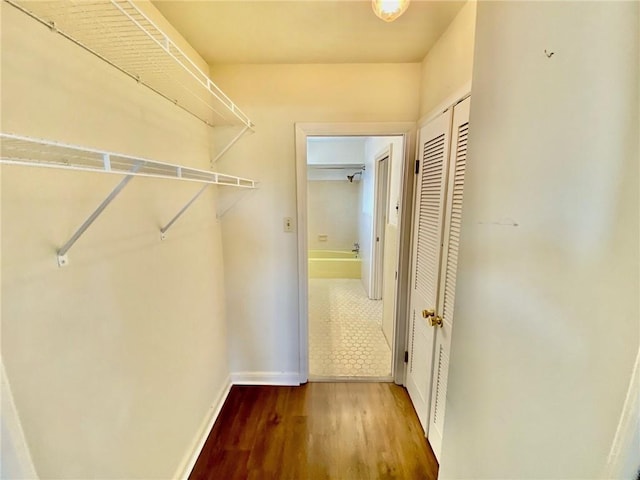 spacious closet with wood finished floors