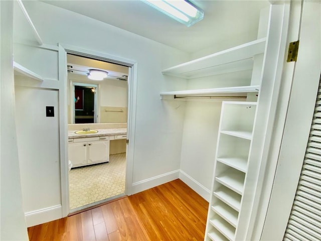 spacious closet featuring light wood-style flooring and a sink