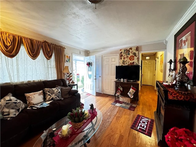 living room with crown molding and hardwood / wood-style flooring