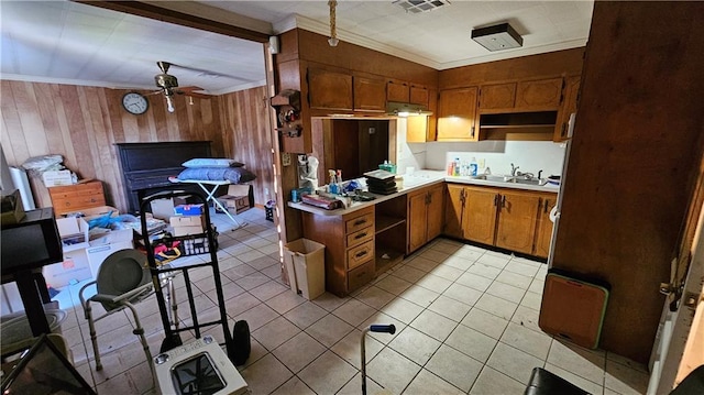 kitchen with wood walls, ceiling fan, crown molding, and sink