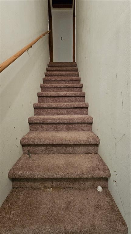 stairs with carpet