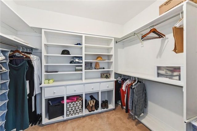 walk in closet featuring light carpet