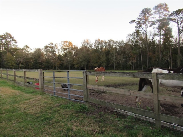 view of gate with a rural view and a yard