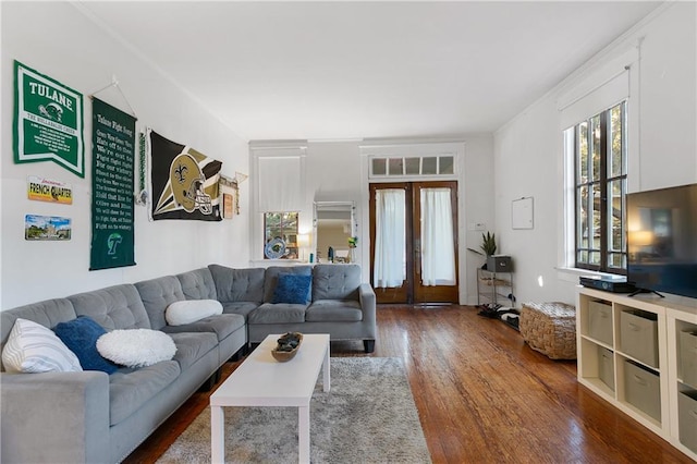 living room featuring dark hardwood / wood-style flooring and french doors