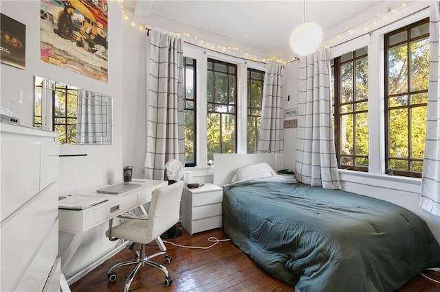 bedroom with dark hardwood / wood-style floors and multiple windows